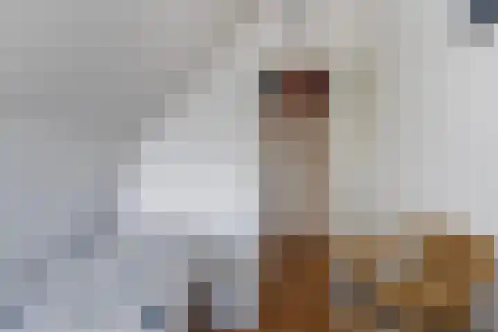 Strikel 18 Terherne thumbnail 37