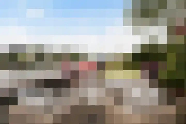 Strikel 18 Terherne thumbnail 4