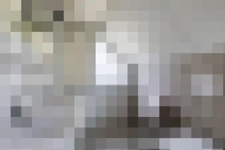 Strikel 18 Terherne thumbnail 40