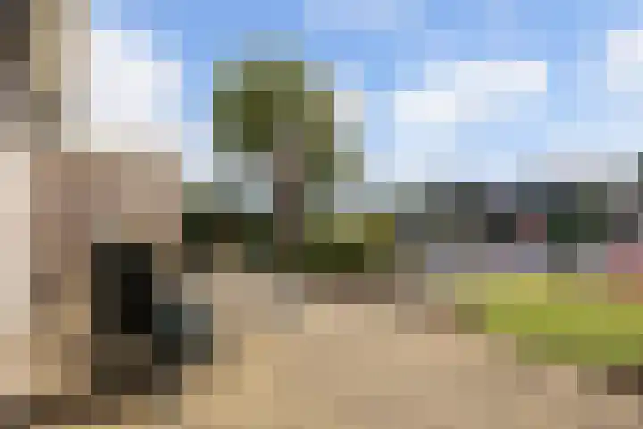 Strikel 18 Terherne thumbnail 45