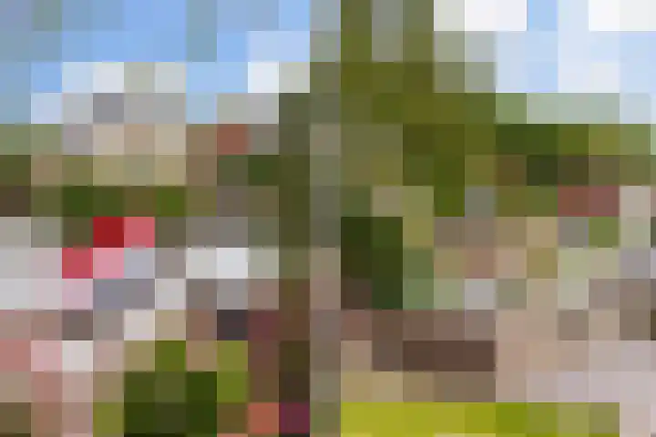 Strikel 18 Terherne thumbnail 47