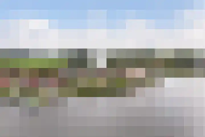 Strikel 18 Terherne thumbnail 5