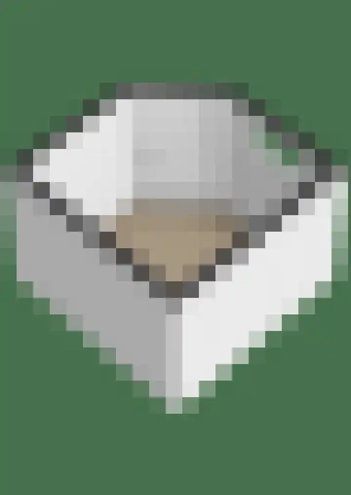 Strikel 18 Terherne thumbnail 54