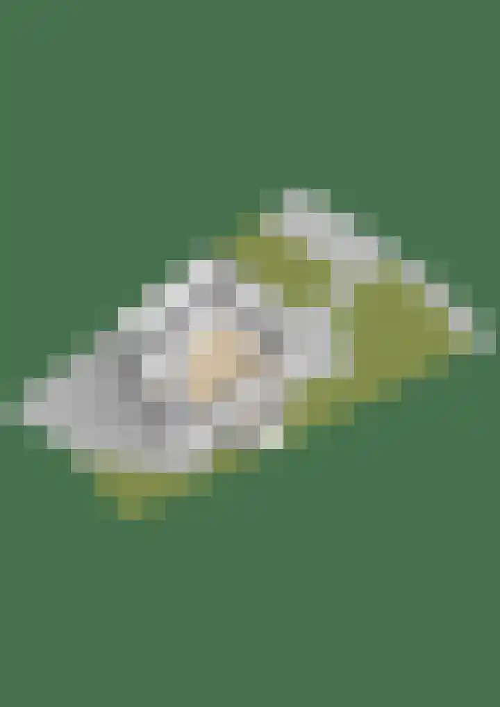 Strikel 18 Terherne thumbnail 56
