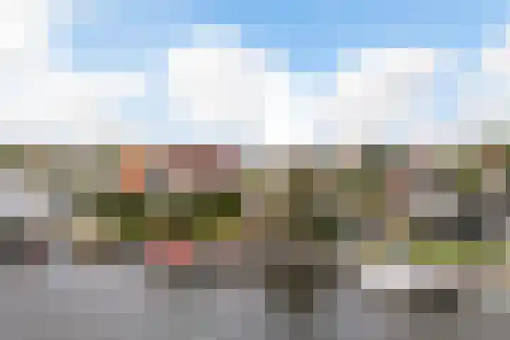 Strikel 18 Terherne thumbnail 6