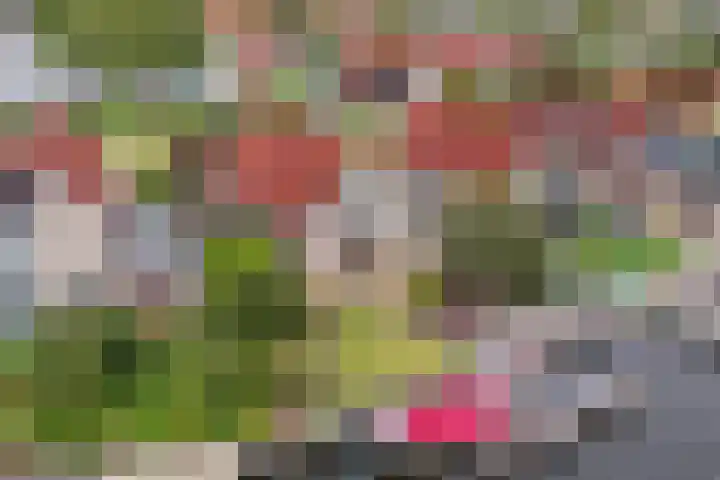 Strikel 18 Terherne thumbnail 7