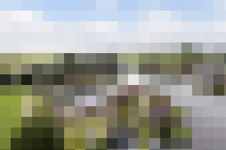 Strikel 18 Terherne thumbnail 8