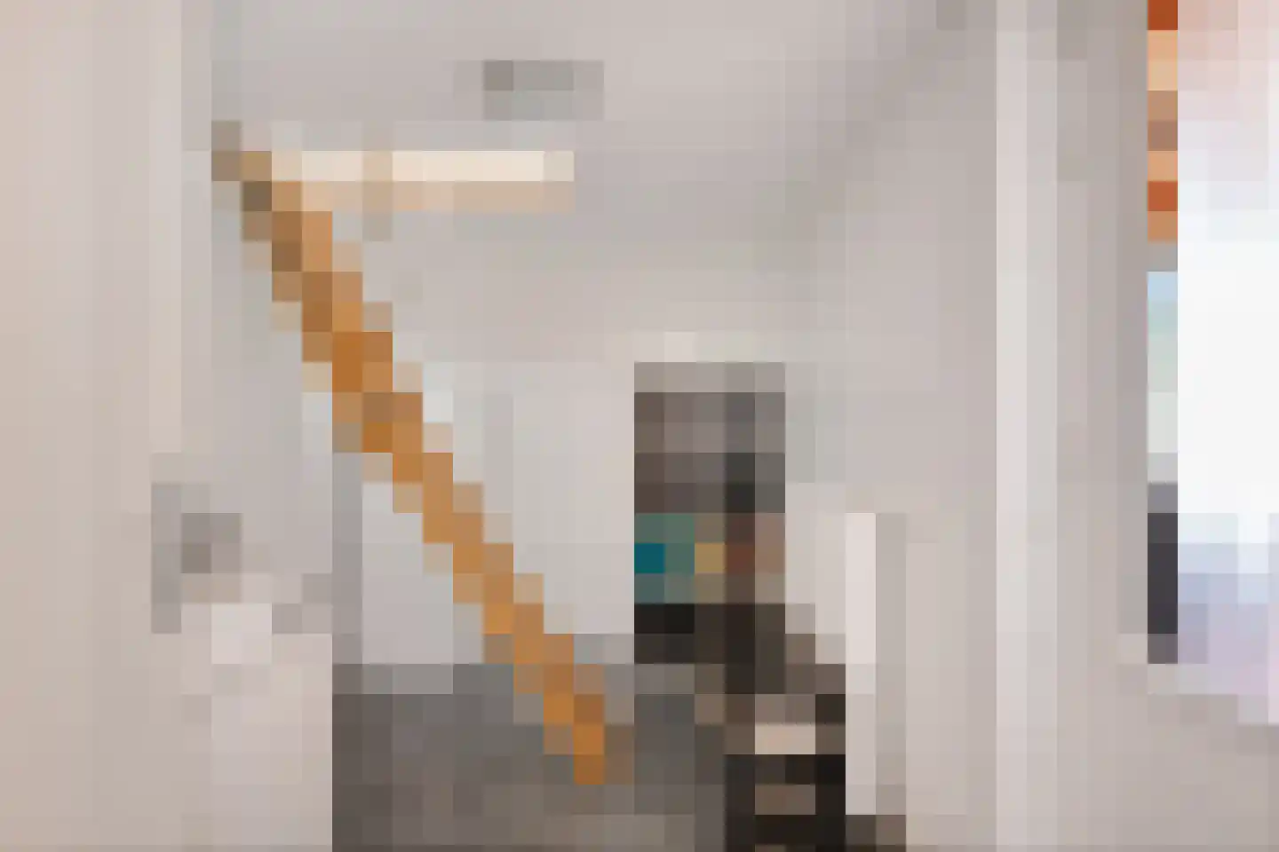 Strikel 21 Ureterp thumbnail 25