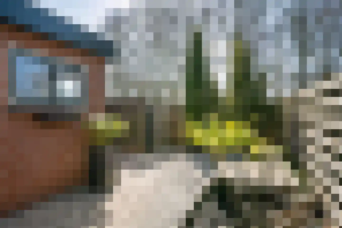 Strikel 21 Ureterp thumbnail 33
