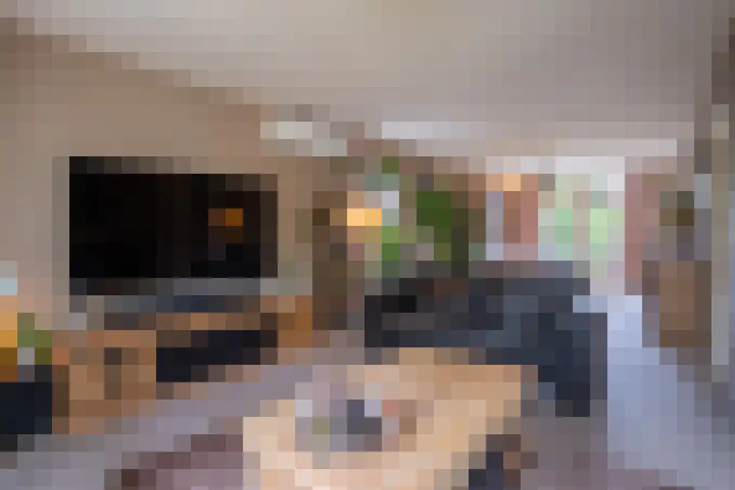 Strikkenhof 1 Haelen thumbnail 5