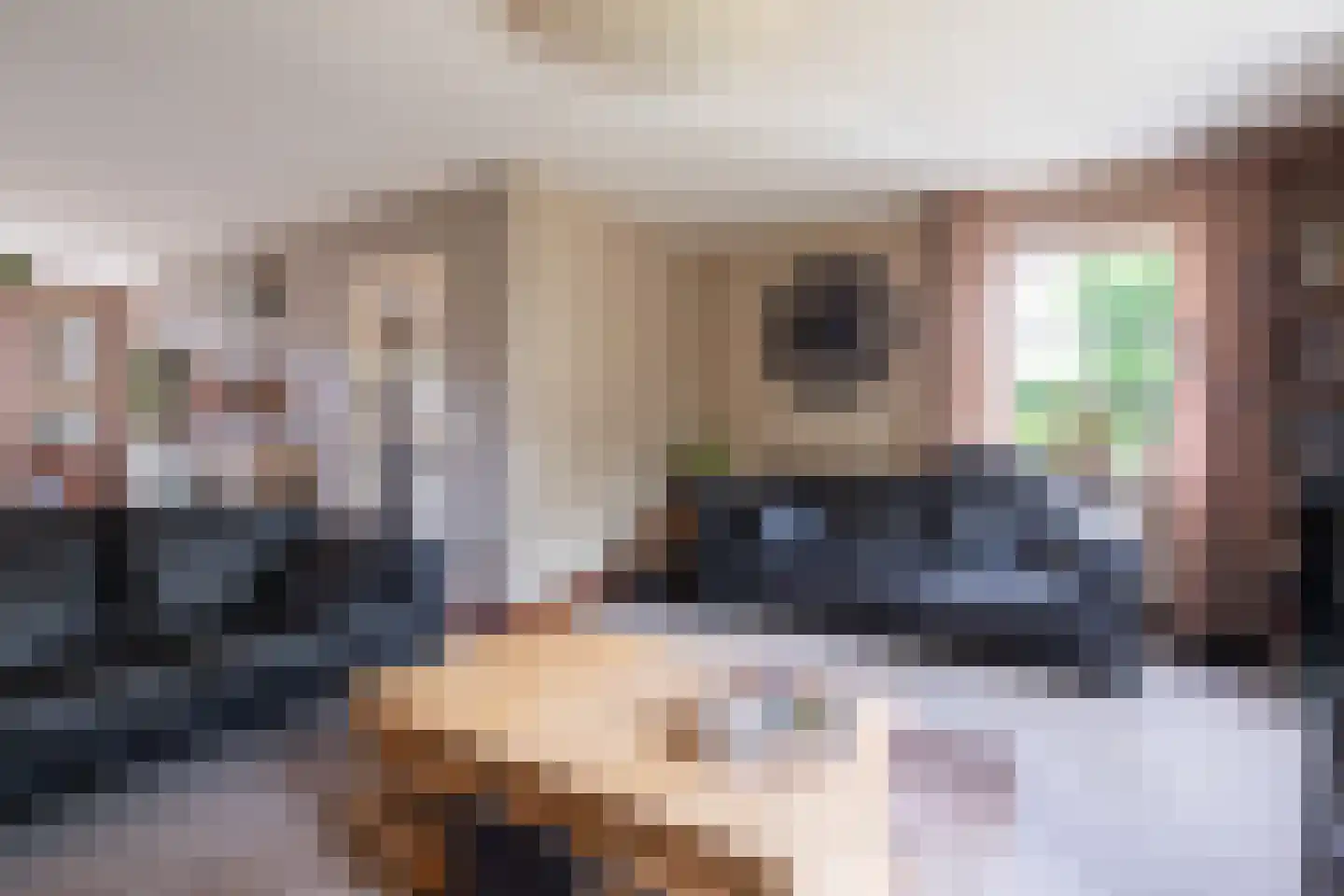 Strikkenhof 1 Haelen thumbnail 6