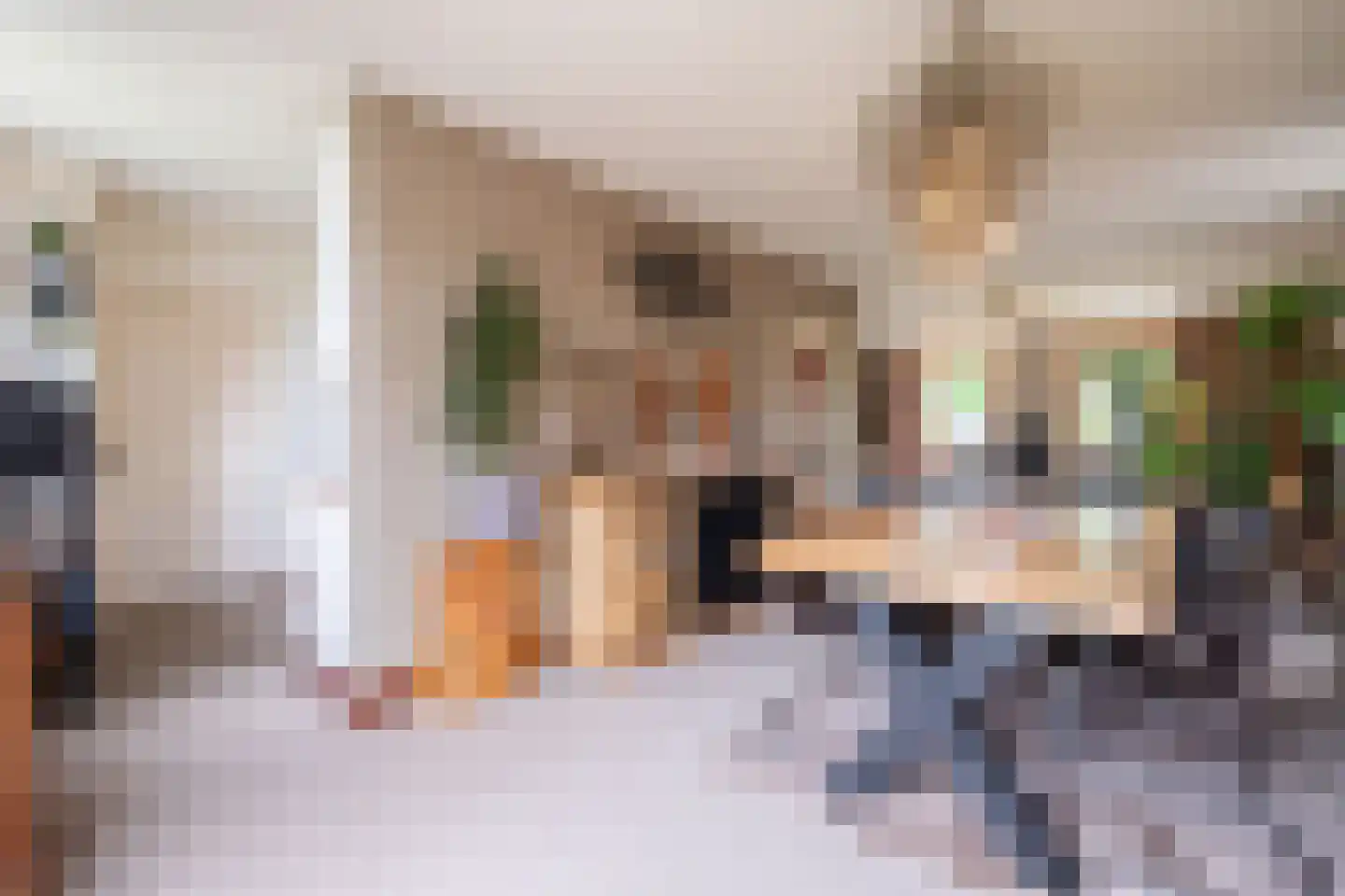 Strikkenhof 1 Haelen thumbnail 7