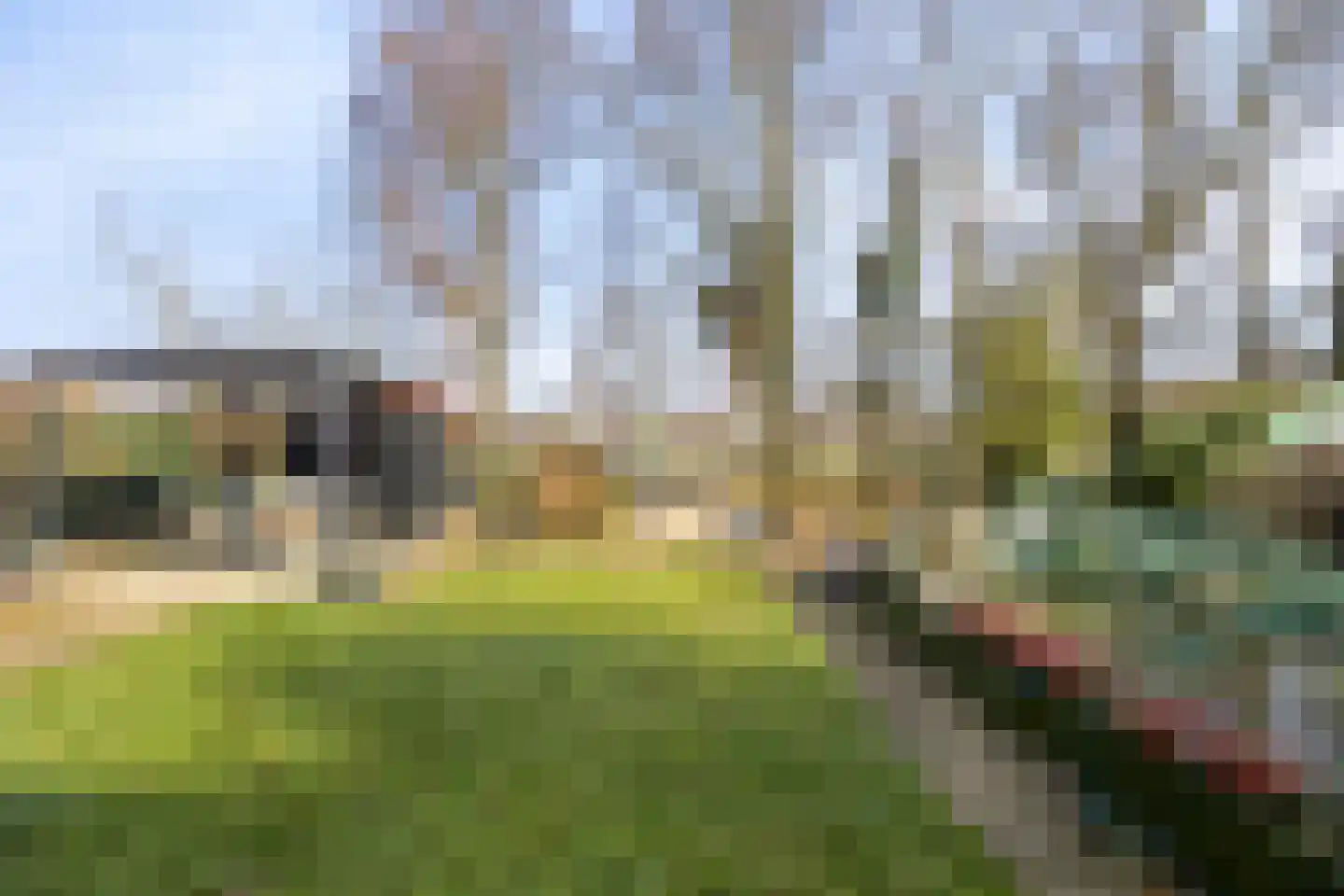 Strikkenhof 24 Haelen thumbnail 29