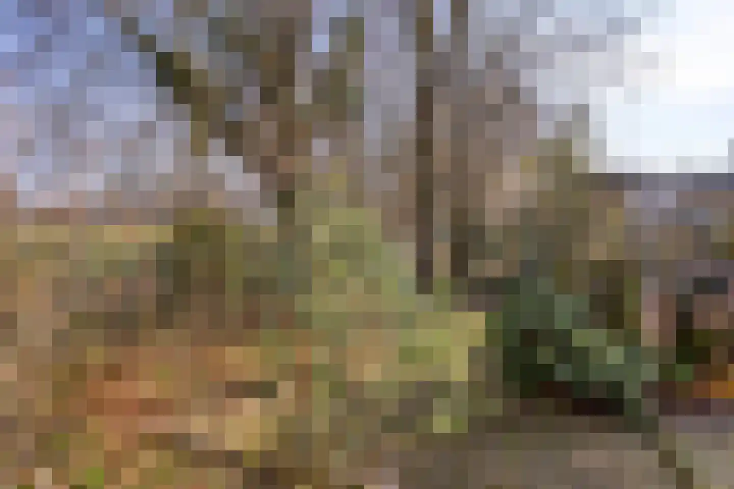 Strikkenhof 24 Haelen thumbnail 30