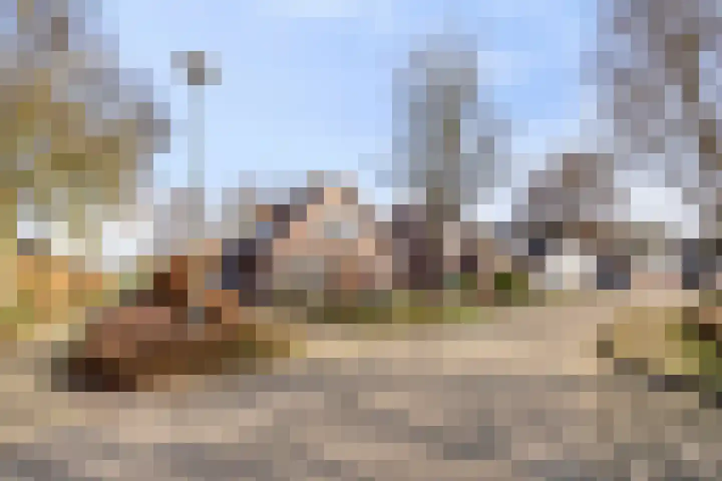 Strikkenhof 24 Haelen thumbnail 33