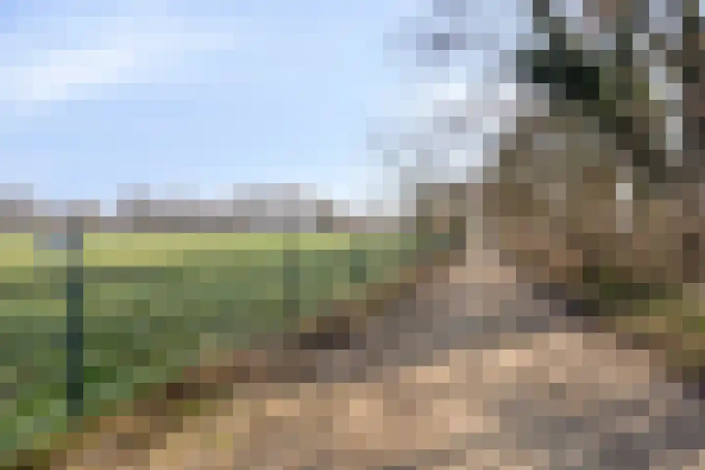 Strikkenhof 24 Haelen thumbnail 37