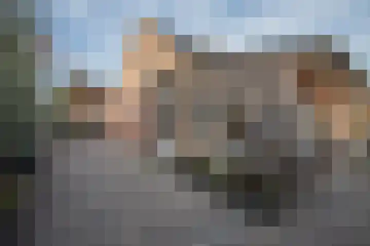 Strikkenhof 51 Haelen thumbnail 35