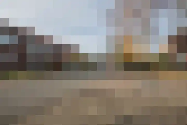 Strikkenhof 51 Haelen thumbnail 43