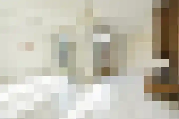 Strindbergzijde 4 Zoetermeer thumbnail 10