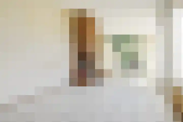 Strindbergzijde 4 Zoetermeer thumbnail 11