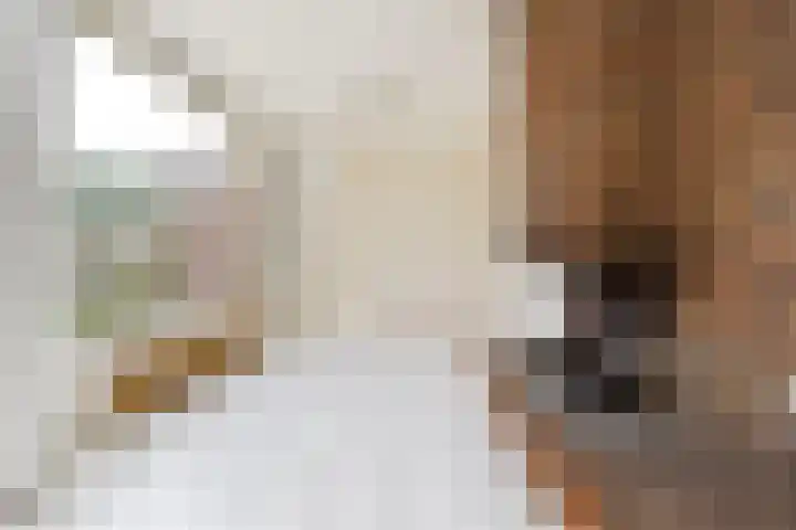 Strindbergzijde 4 Zoetermeer thumbnail 12