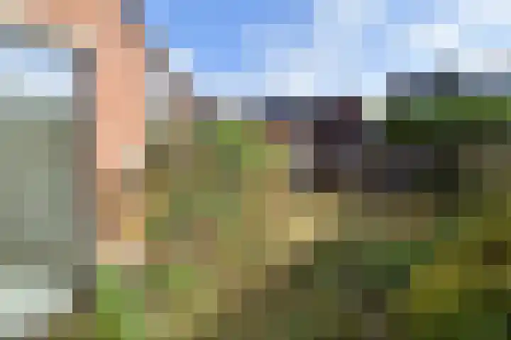 Strindbergzijde 4 Zoetermeer thumbnail 14