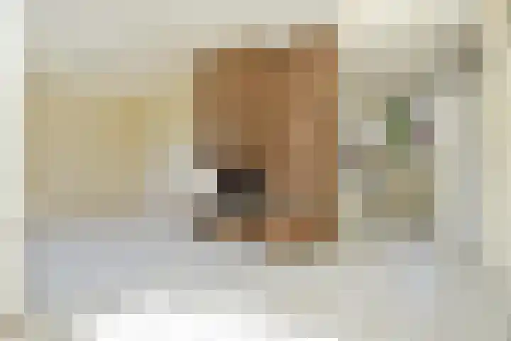 Strindbergzijde 4 Zoetermeer thumbnail 18
