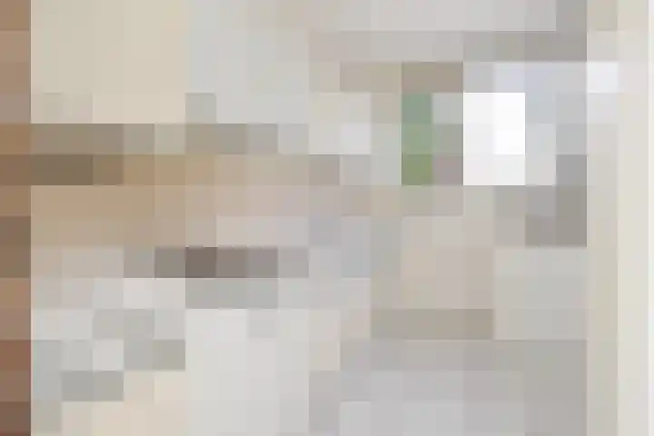 Strindbergzijde 4 Zoetermeer thumbnail 19