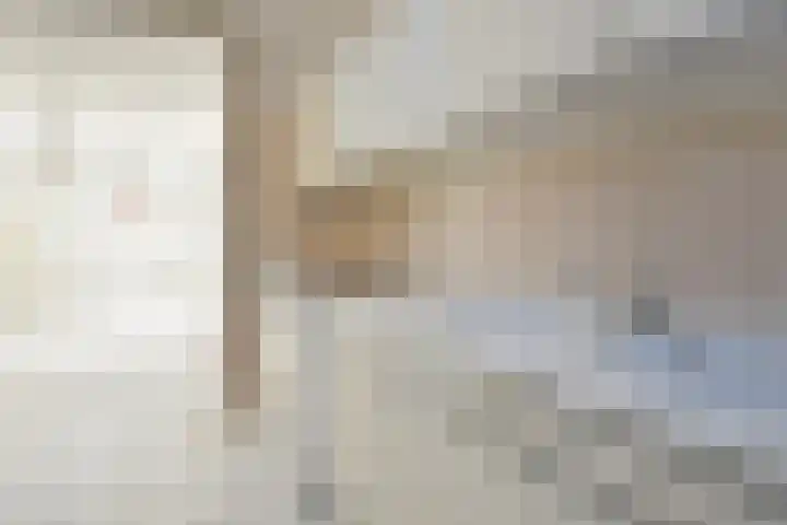 Strindbergzijde 4 Zoetermeer thumbnail 20