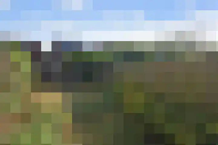 Strindbergzijde 4 Zoetermeer thumbnail 21