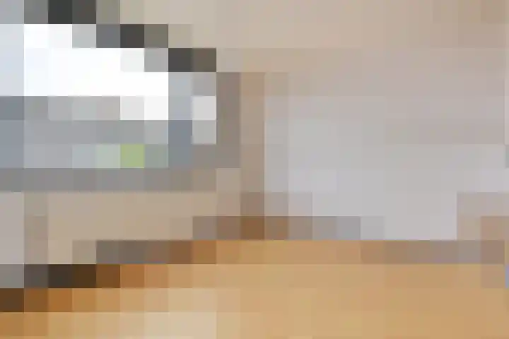 Strindbergzijde 4 Zoetermeer thumbnail 27