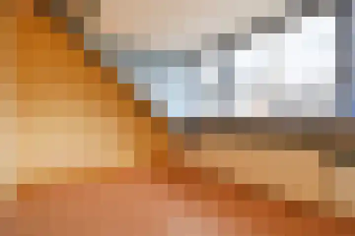 Strindbergzijde 4 Zoetermeer thumbnail 29
