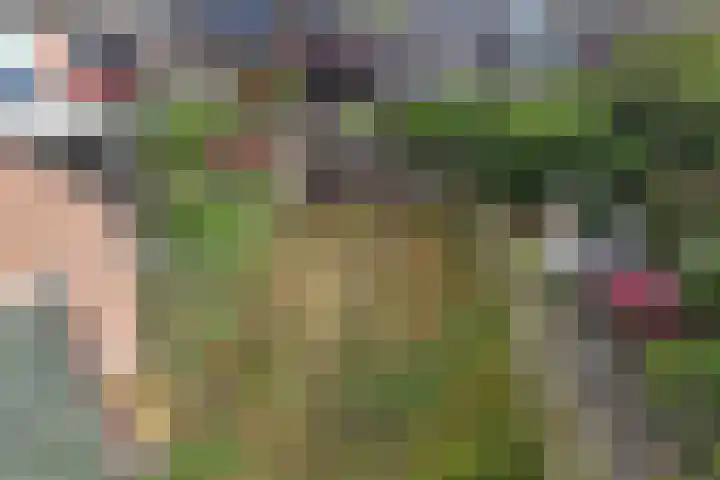 Strindbergzijde 4 Zoetermeer thumbnail 33