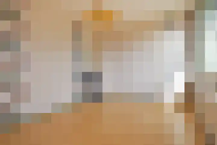 Strindbergzijde 4 Zoetermeer thumbnail 34