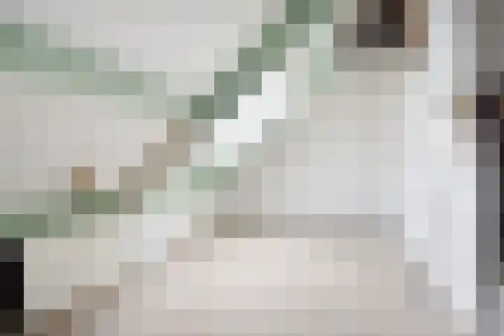Strindbergzijde 4 Zoetermeer thumbnail 40