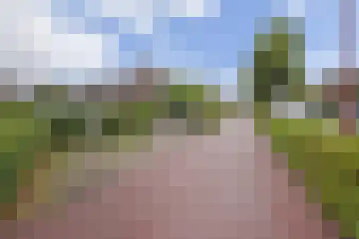 Strindbergzijde 4 Zoetermeer thumbnail 45