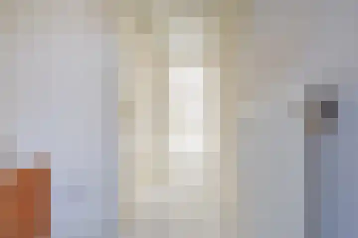 Strindbergzijde 4 Zoetermeer thumbnail 6