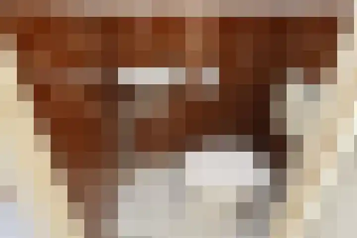 Strindbergzijde 4 Zoetermeer thumbnail 7