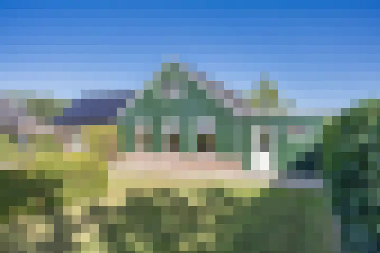 Stripedyk 37 Idskenhuizen thumbnail 11