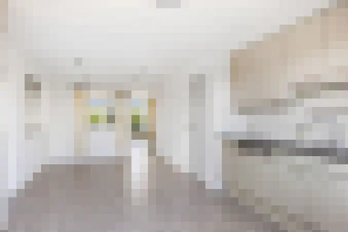 Stripedyk 37 Idskenhuizen thumbnail 20