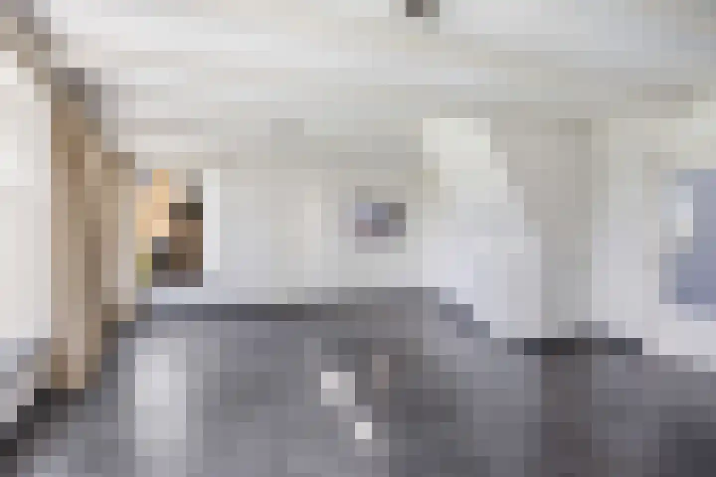 Stripedyk 37 Idskenhuizen thumbnail 22