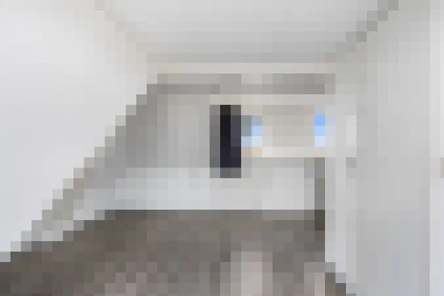 Stripedyk 37 Idskenhuizen thumbnail 30
