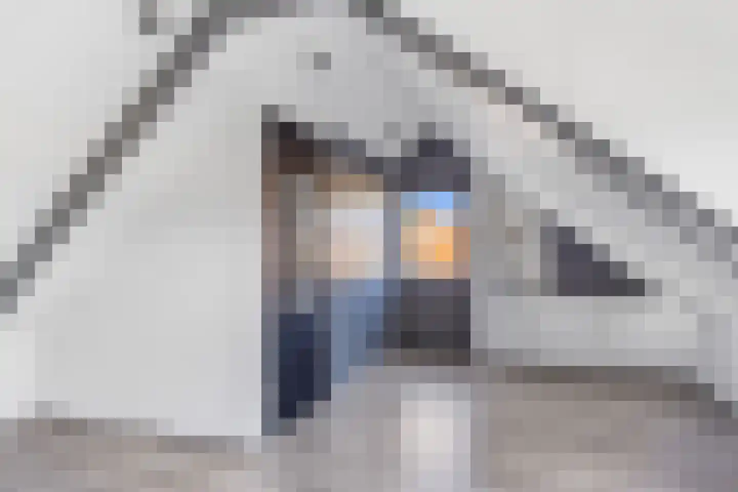 Stripedyk 37 Idskenhuizen thumbnail 39