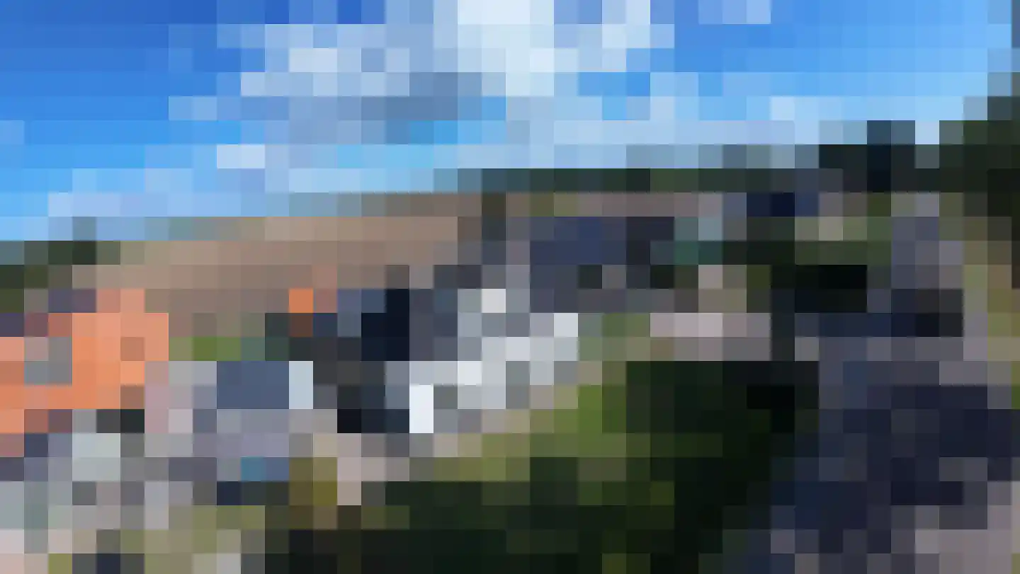 Stripedyk 37 Idskenhuizen thumbnail 4
