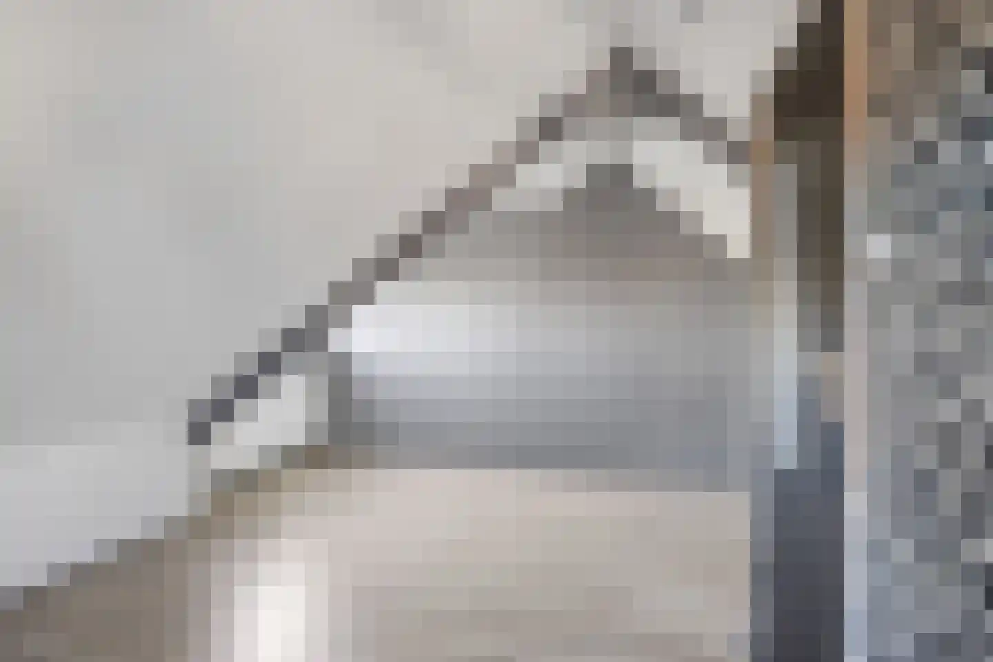 Stripedyk 37 Idskenhuizen thumbnail 41
