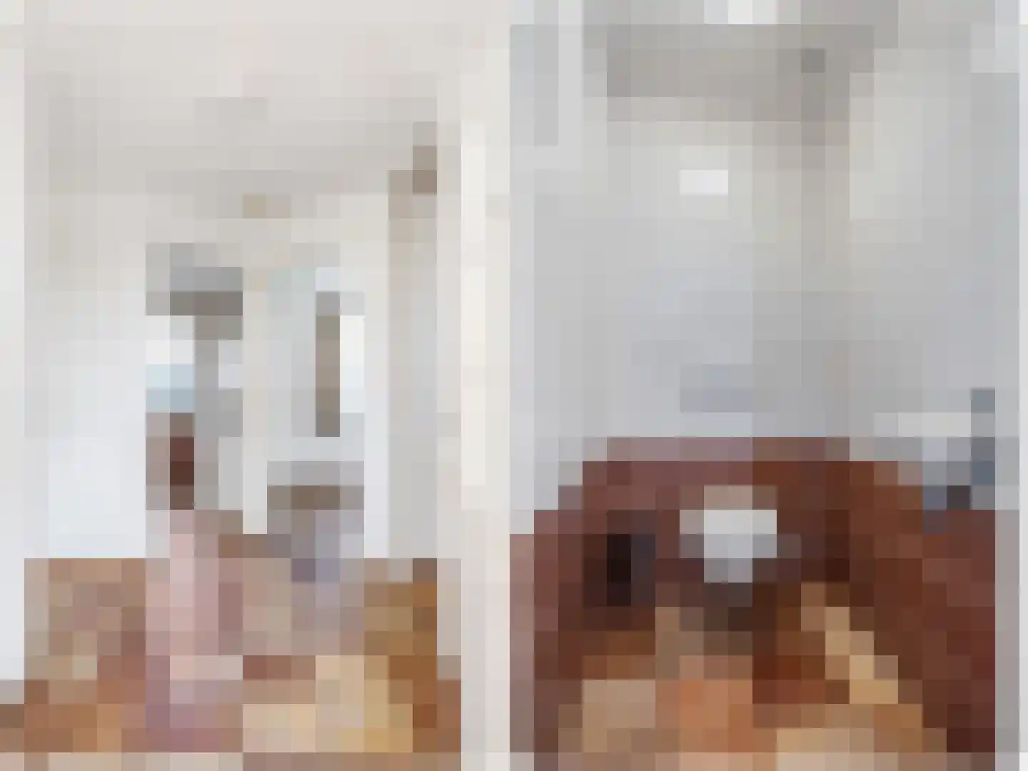 Stripedyk 37 Idskenhuizen thumbnail 47