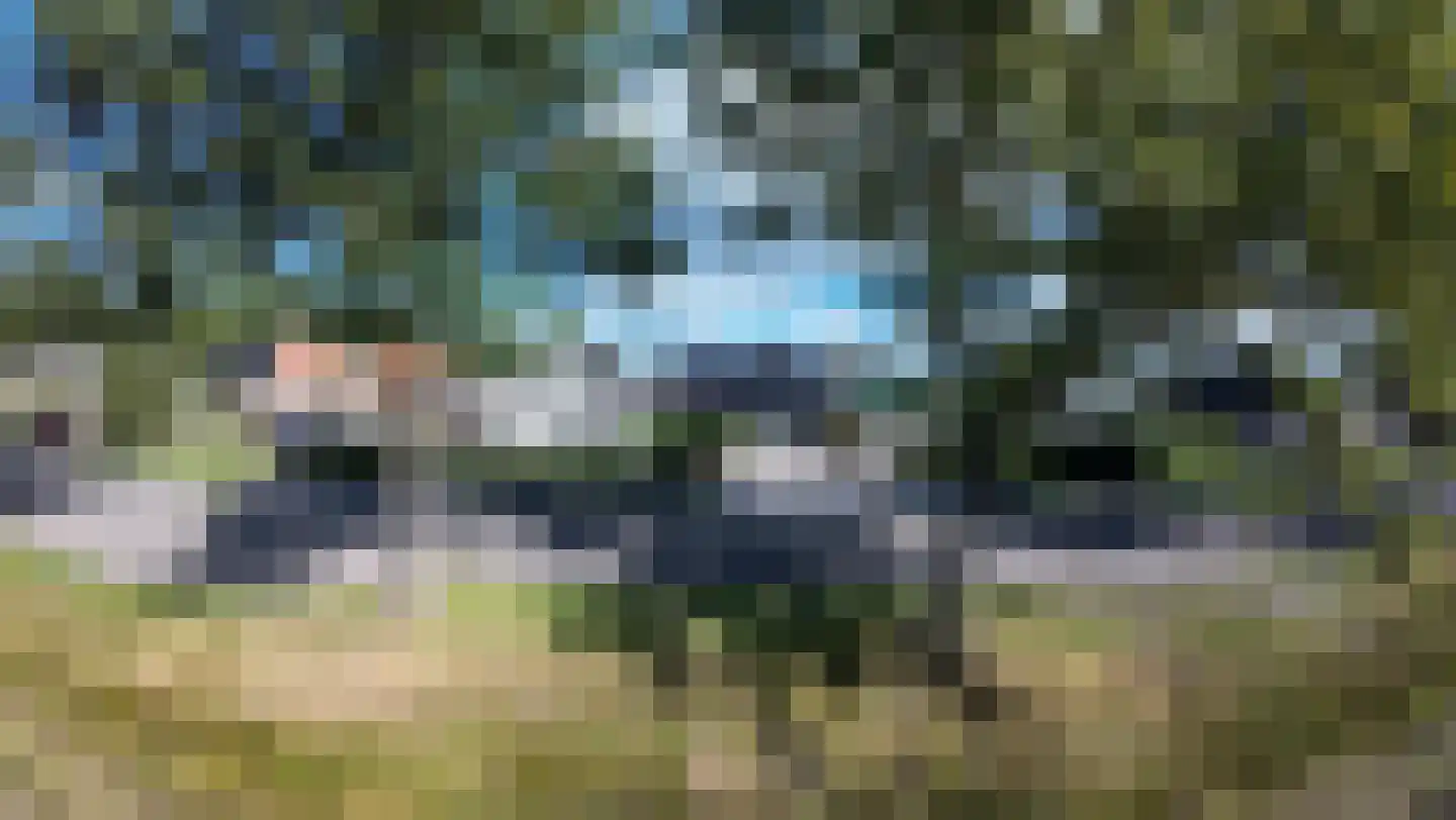 Stripedyk 37 Idskenhuizen thumbnail 72