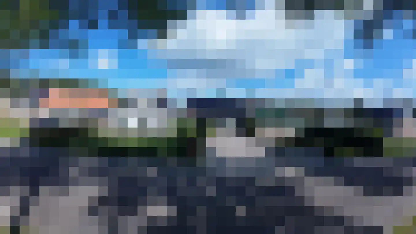 Stripedyk 37 Idskenhuizen thumbnail 73