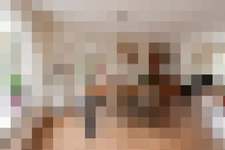 Stroband 2 Wijk bij Duurstede thumbnail 11