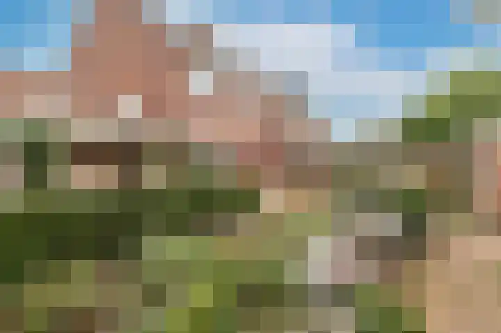 Stroband 2 Wijk bij Duurstede thumbnail 16